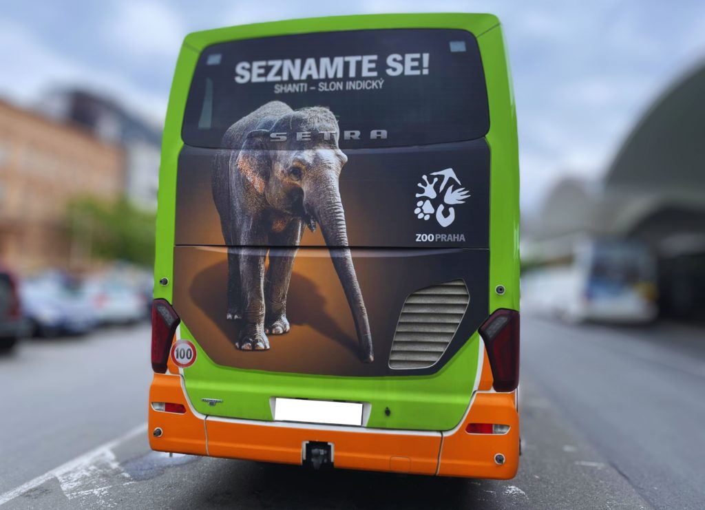 ZOO Praha BB slon na autobusu FlixBus